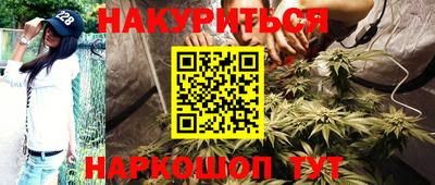 прущие крисы Кимры