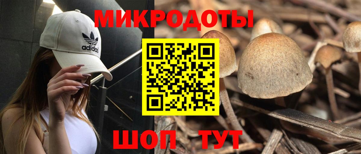 Галлюциногенные грибы Cubensis Озёрск