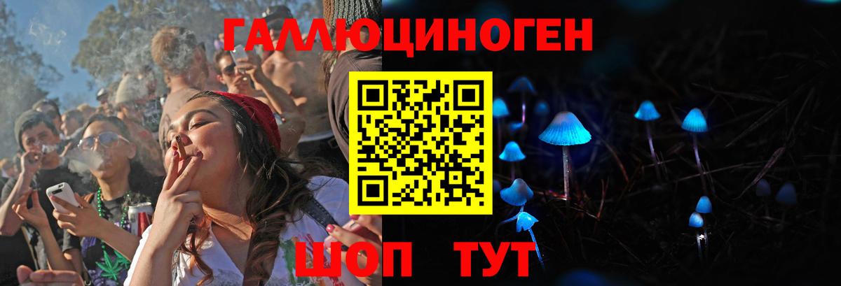 Озёрск  Галлюциногенные грибы мухоморы  Вход с VPN 